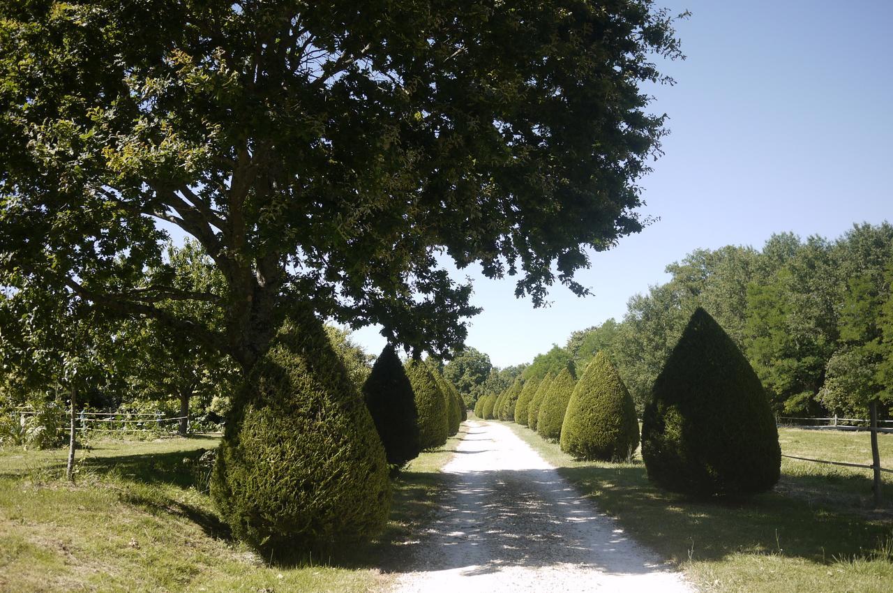 Domaine De Puytirel Bed and Breakfast Champagne-et-Fontaine Eksteriør billede